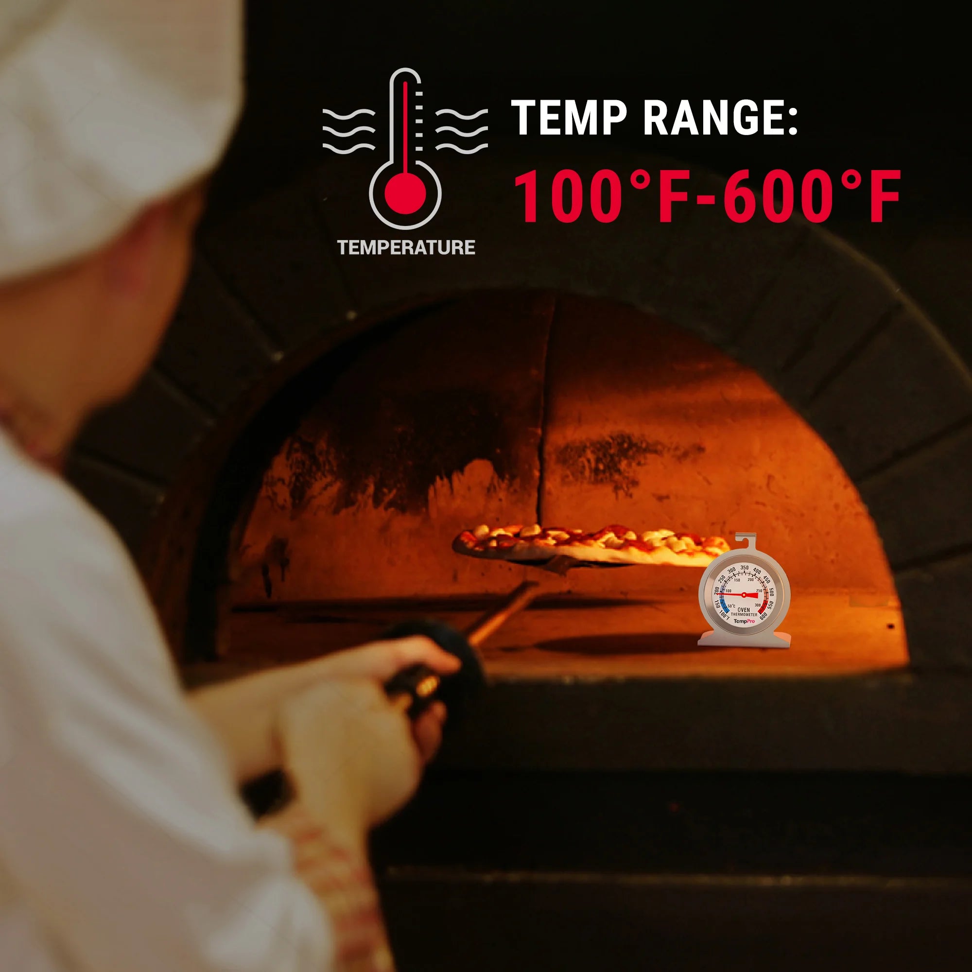 TempPro AOT200 termometro forno 300°C 1 pezzo