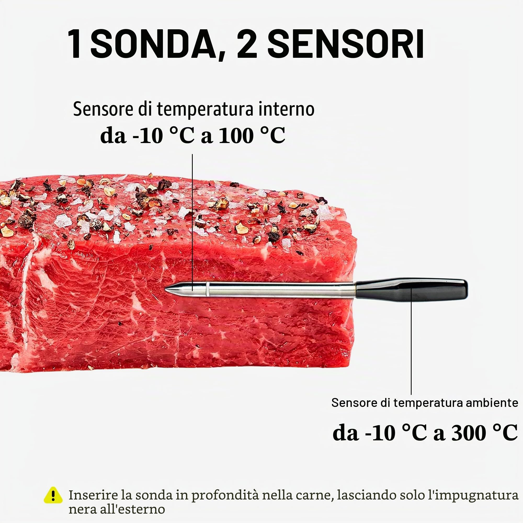 ThermoPro TempSpike TP970 Termometro Carne Wireless 180 m