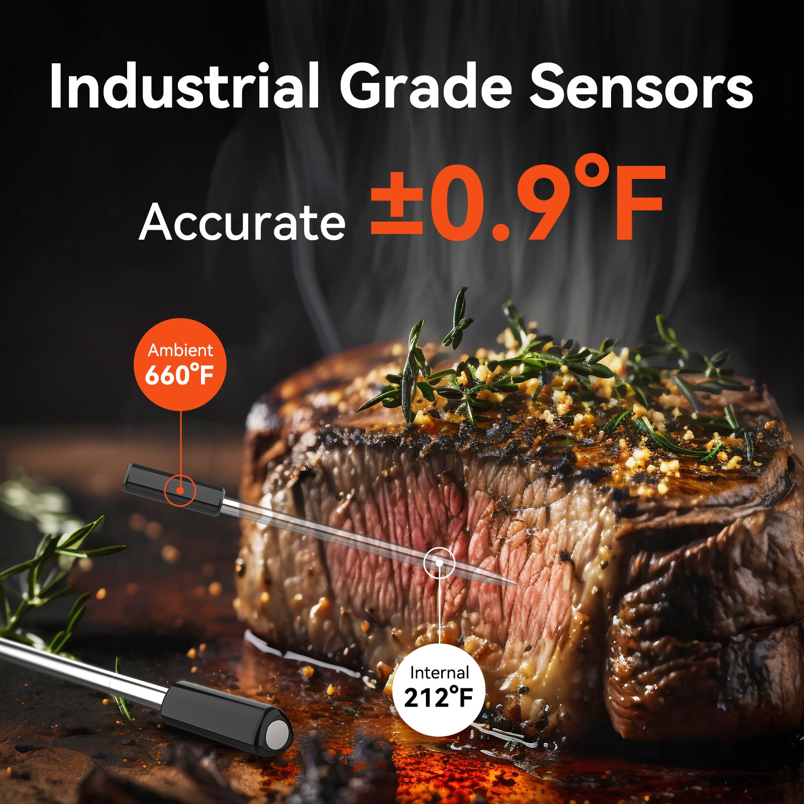 Meatmeet Pro termometro carne WiFi Bluetooth wireless