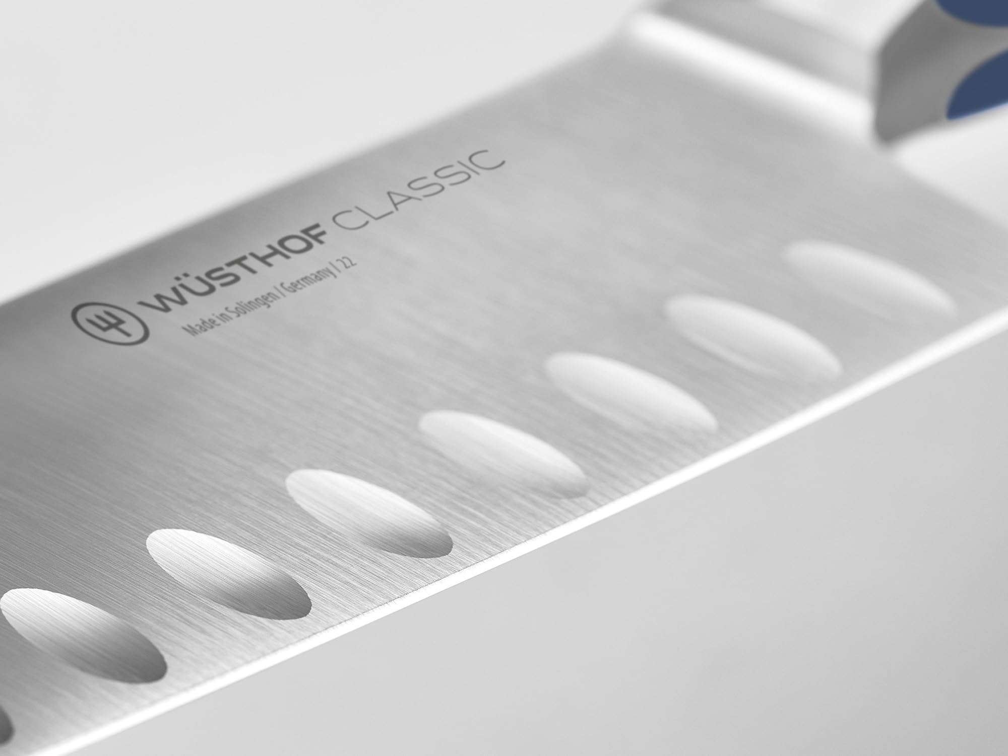 Wusthof Classic Santoku 17 cm Wild Blueberry mirtillo
