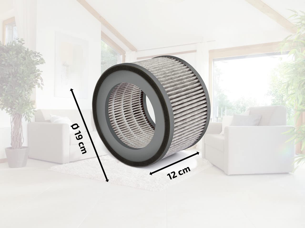 Soehnle AirFresh Clean 300 filtro ricambio carbone attivo