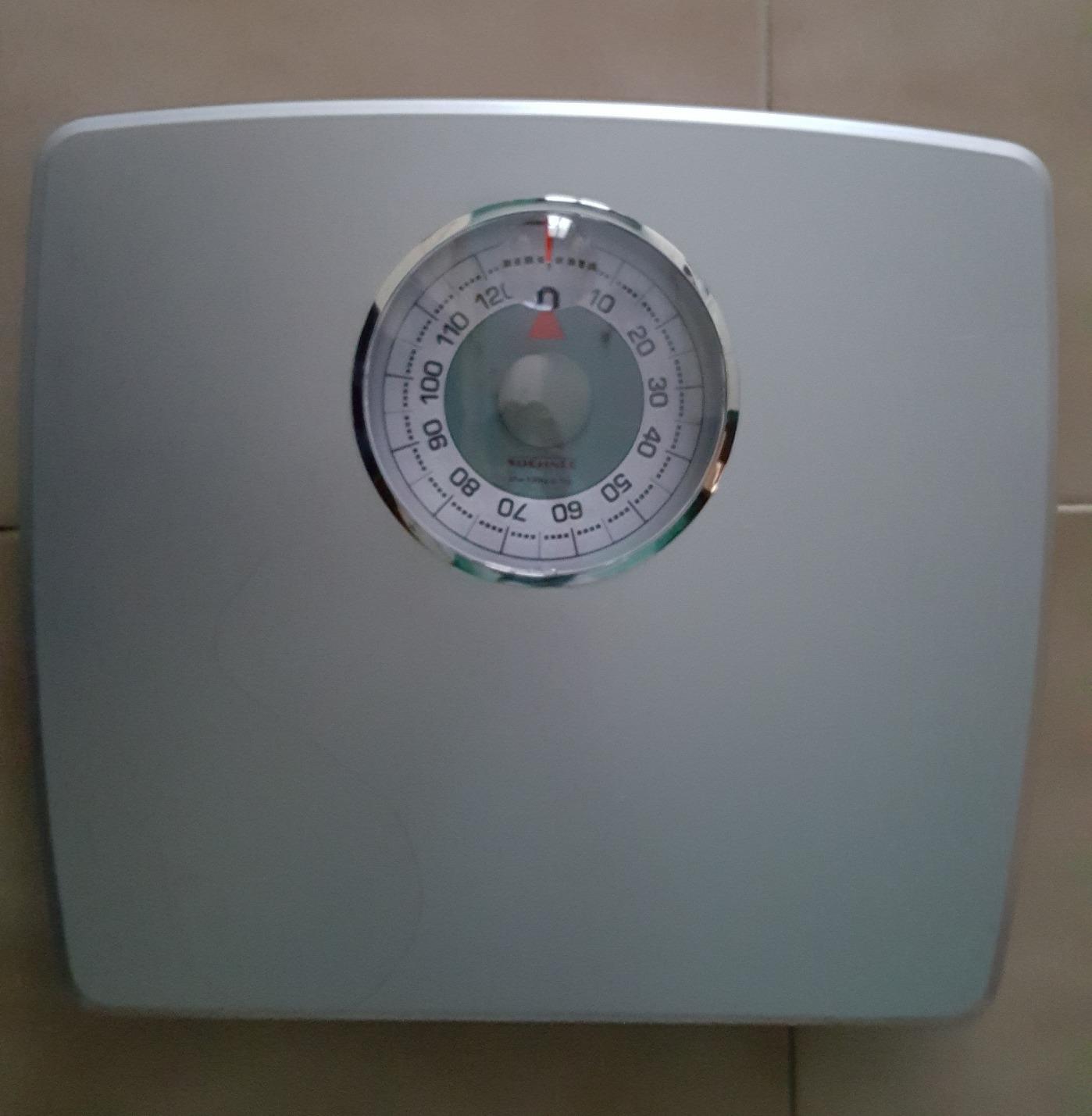 Soehnle 61352 Loupe Bilancia Meccanica Grigia 130kg