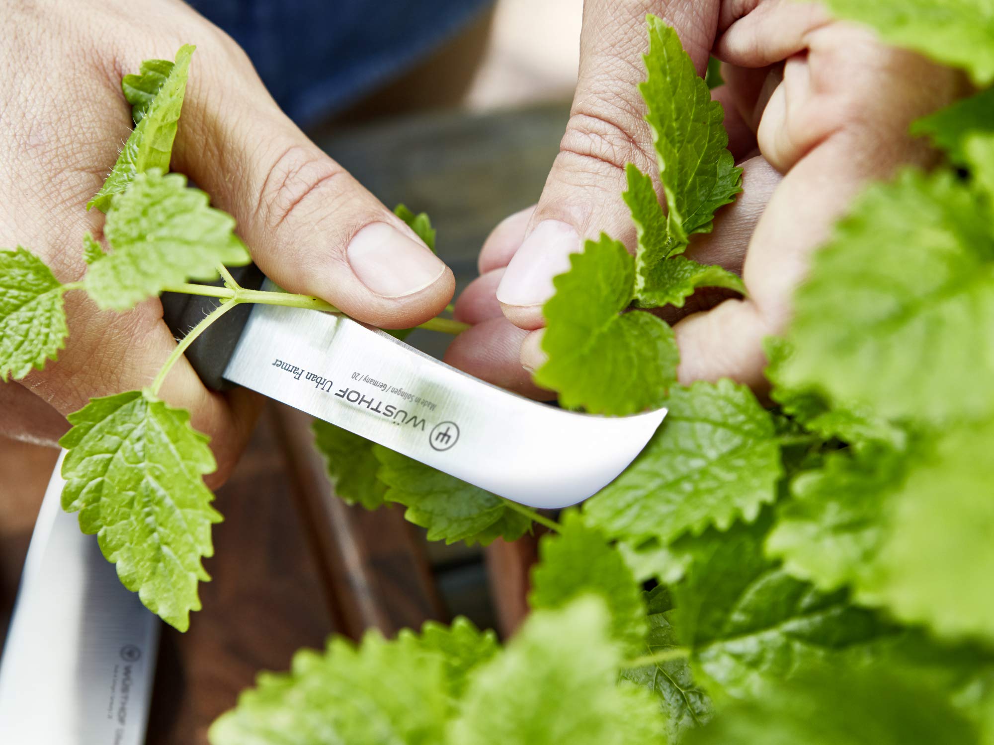 Wüsthof Urban Farmer Coltello Tranchete 8 cm Orto