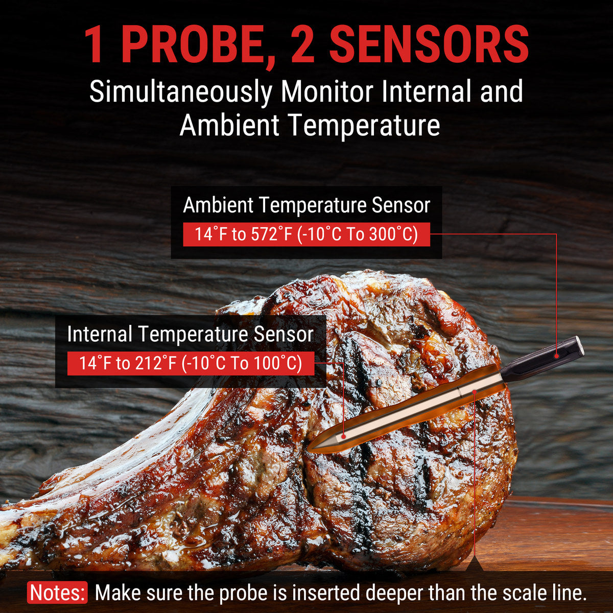 TempPro TempSpike TP960 termometro carne wireless bluetooth