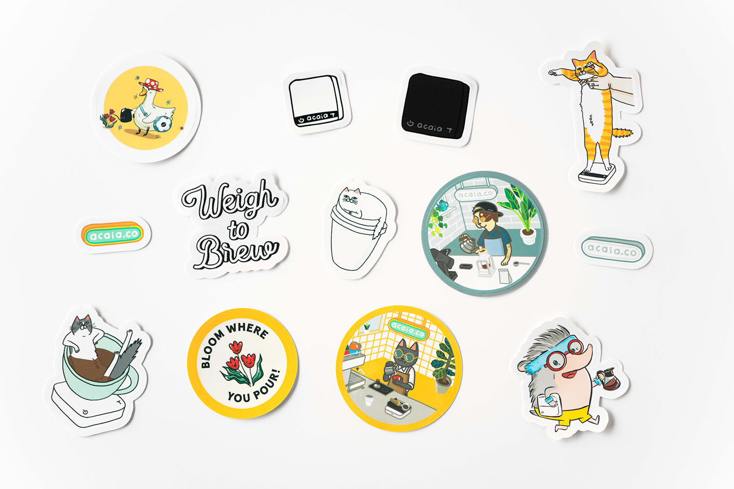 Acaia Sticker Set 13 Adesivi Caffè Design Vari