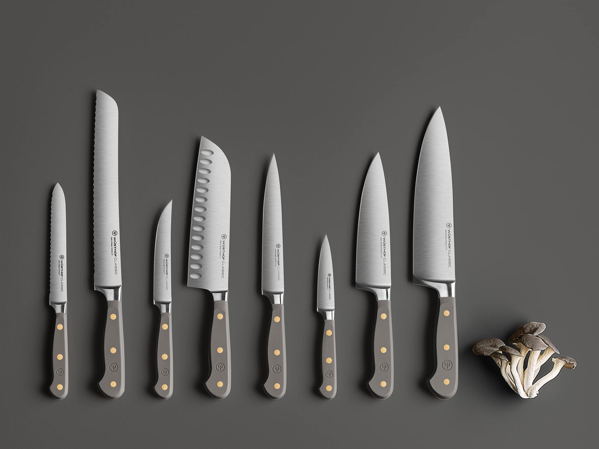 Wusthof Classic coltello pane 23 cm Velvet Oyster doppia lama