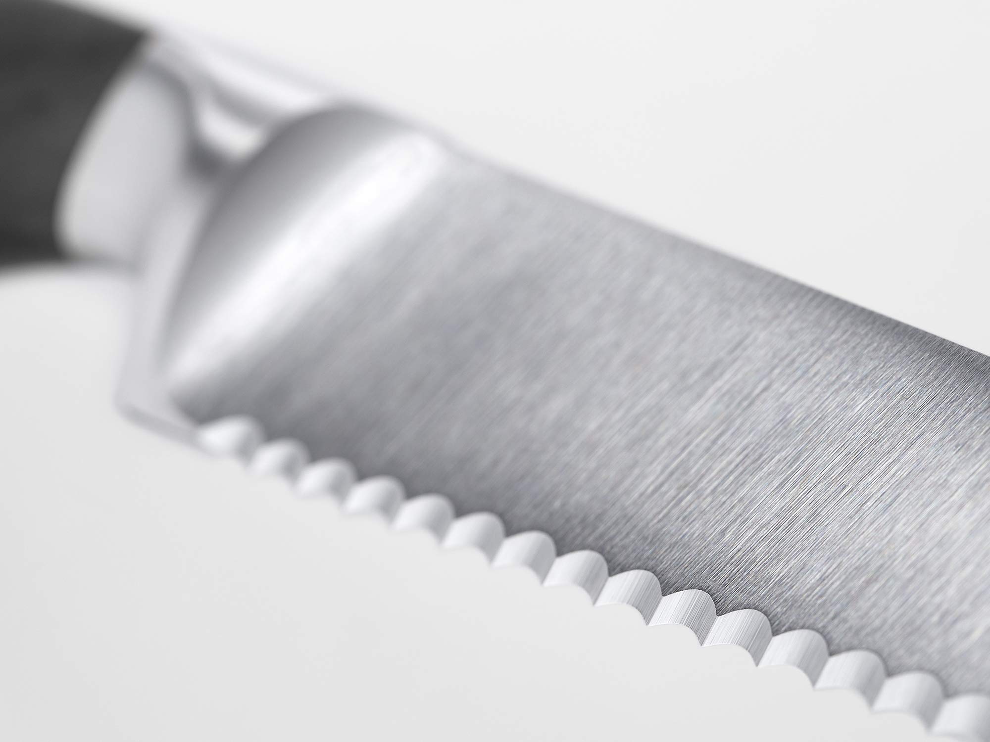 Wusthof Epicure Slate coltello salame 14 cm seghettato