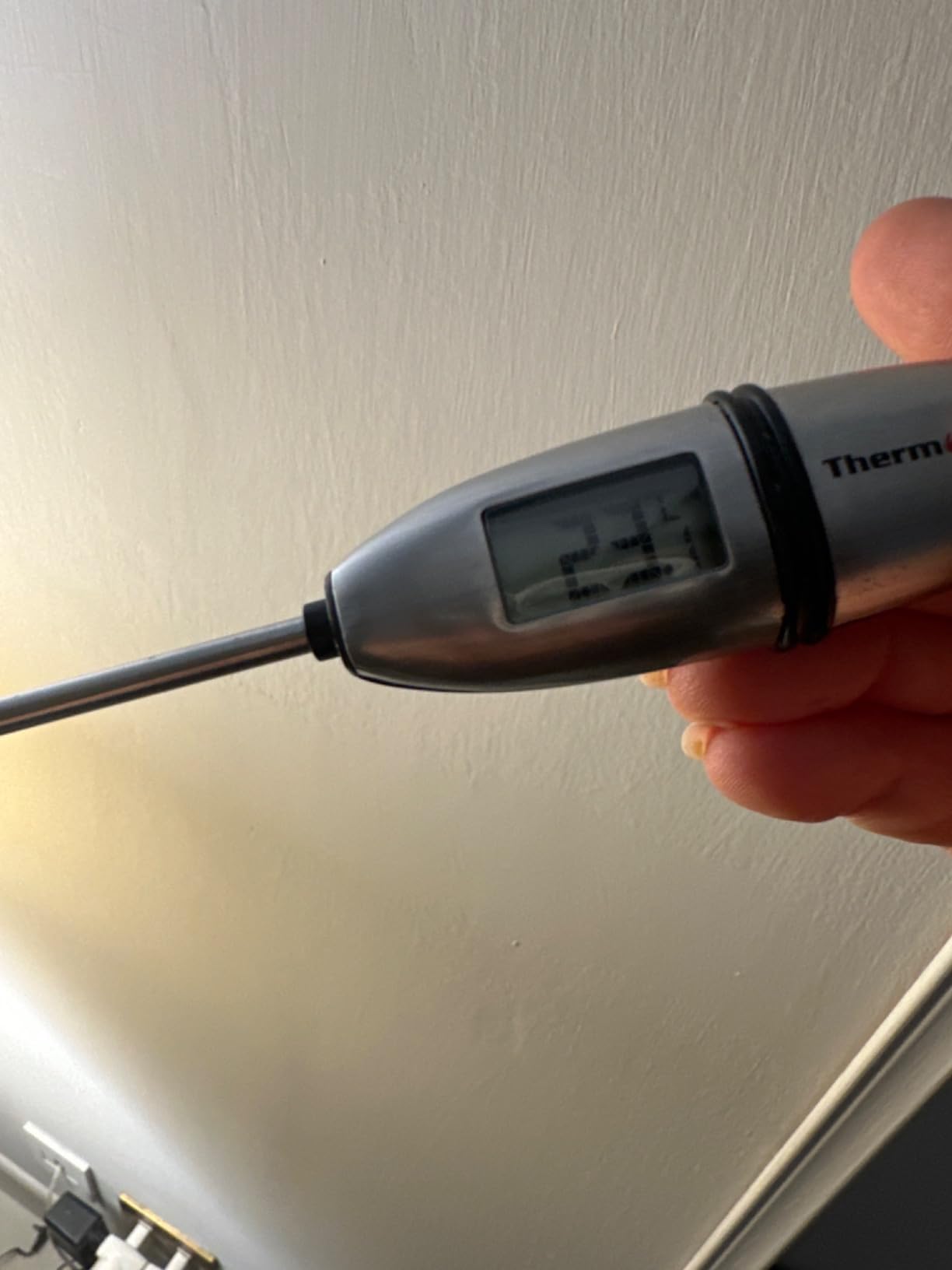 ThermoPro TempPro TP02S Termometro Carne Istantaneo