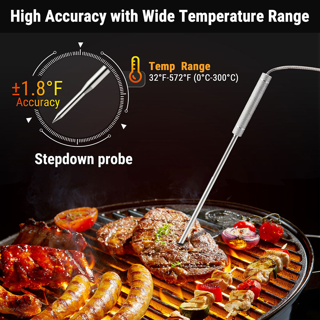 TempPro TP20B TP03H termometro carne wireless set