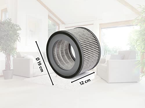 Soehnle AirFresh Clean 400 filtro ricambio carbone attivo