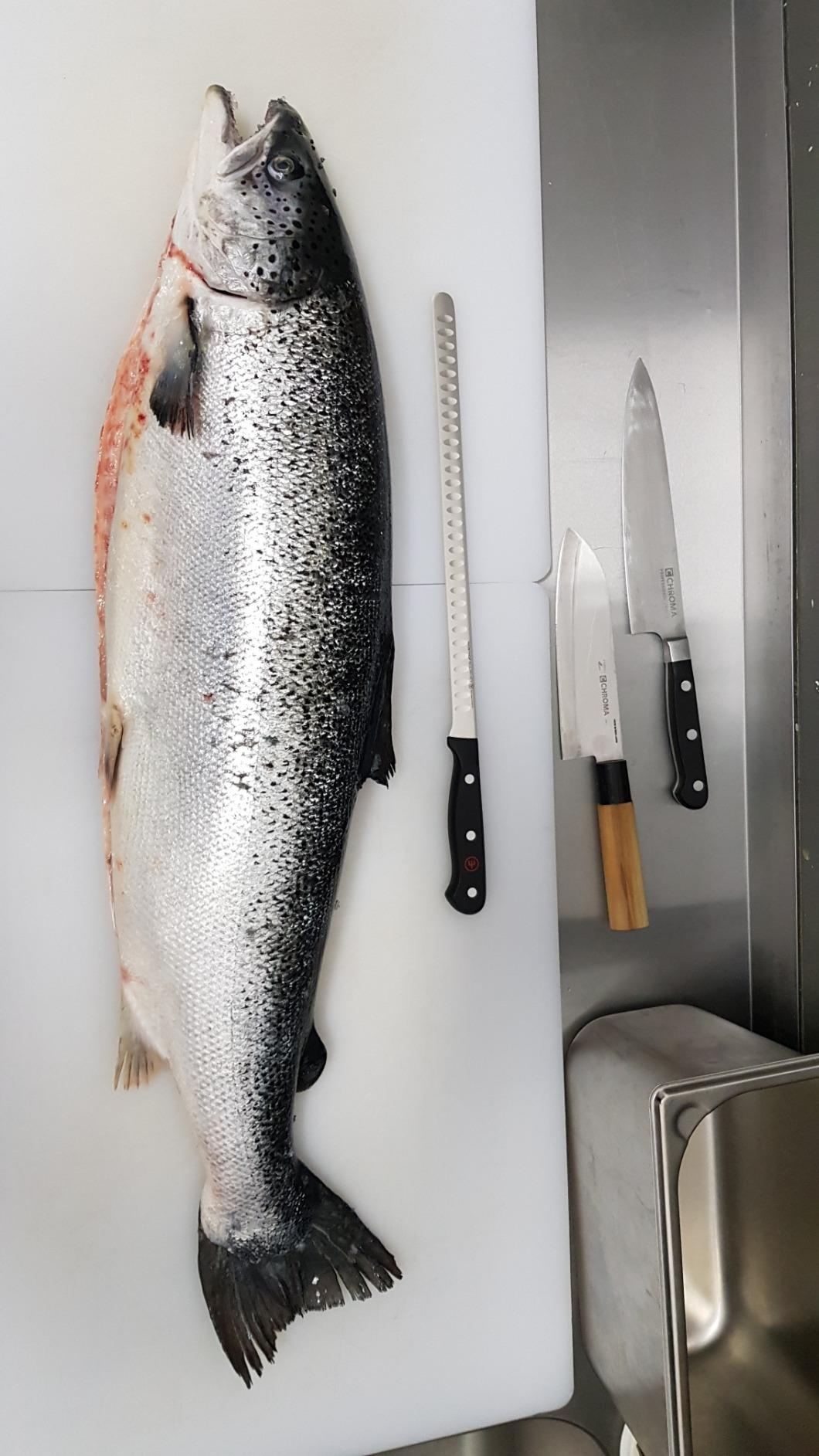 Wusthof Gourmet coltello salmone 29 cm alveolato