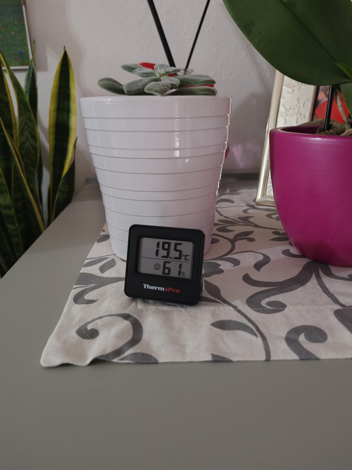 ThermoPro TP157 Termometro Ambiente 3 Pezzi Igrometro