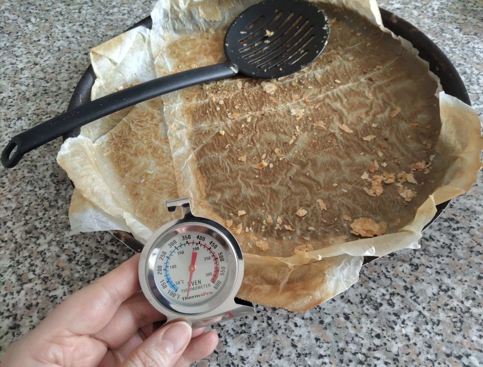 TempPro AOT200 Termometro Forno Inox 50-300°C 1 Pezzo
