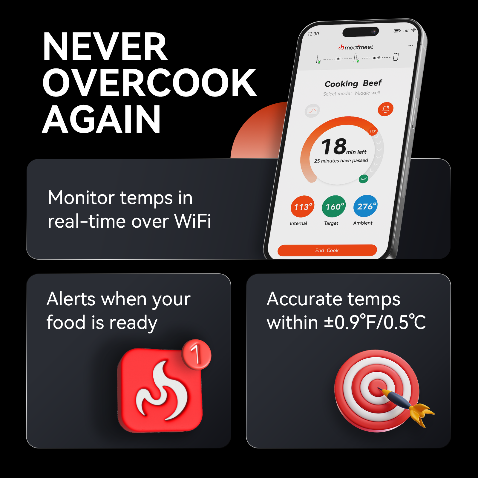 Meatmeet Pro termometro carne WiFi Bluetooth wireless