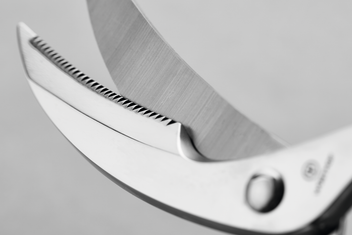Wüsthof Forbici Pollame 25 cm Acciaio Inox