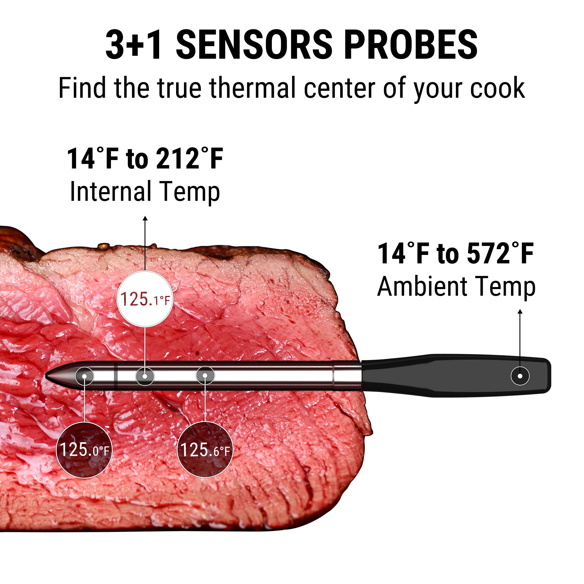 Temppro TP980W-2 termometro carne smart 2 sonde
