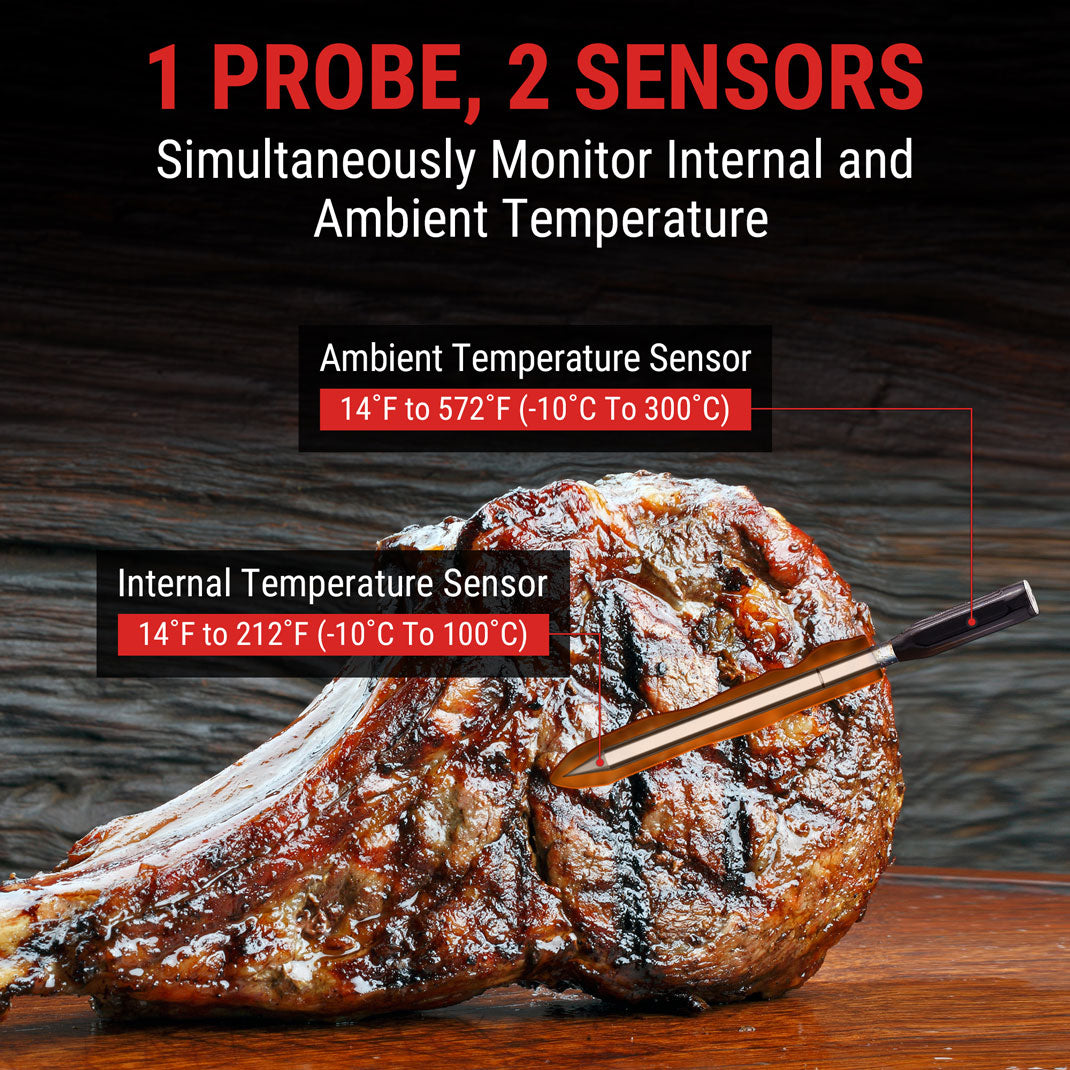 TempPro TempSpike TP960 termometro carne wireless pack 2 pezzi