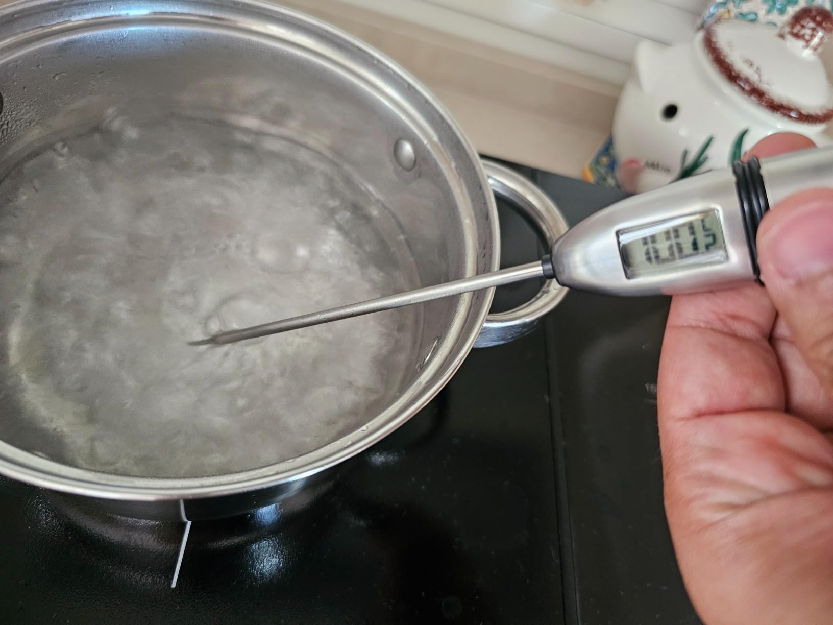 ThermoPro TempPro TP02S Termometro Carne Istantaneo
