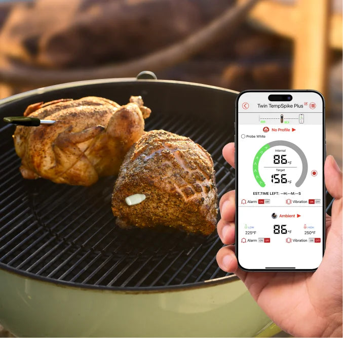 TempPro TempSpike Plus TP972 termometro carne wireless 2 pezzi