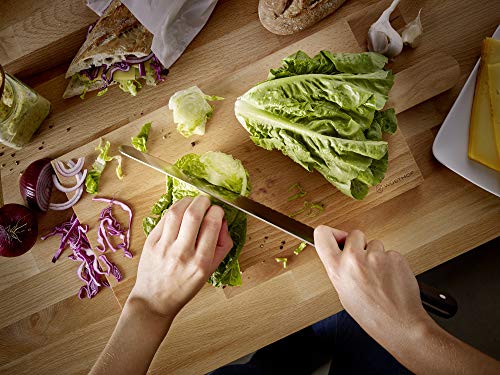 Wüsthof Gourmet coltello filetto 16 cm lama flessibile