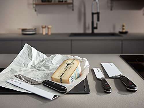 Wüsthof Coltello Formaggio Inox per Paste Dure e Molli