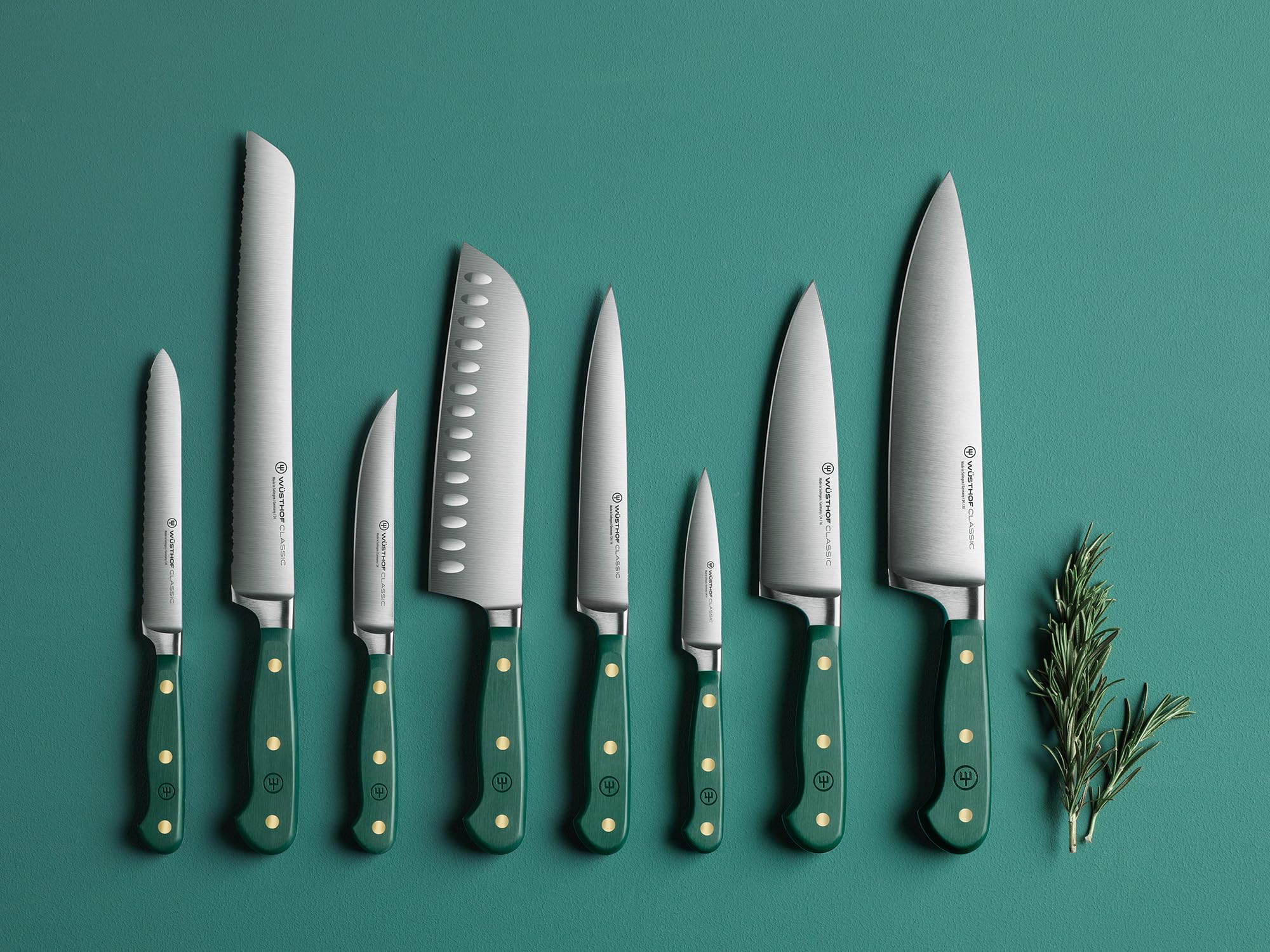 Wüsthof Classic set coltelli bistecca 4 pezzi 12 cm verde