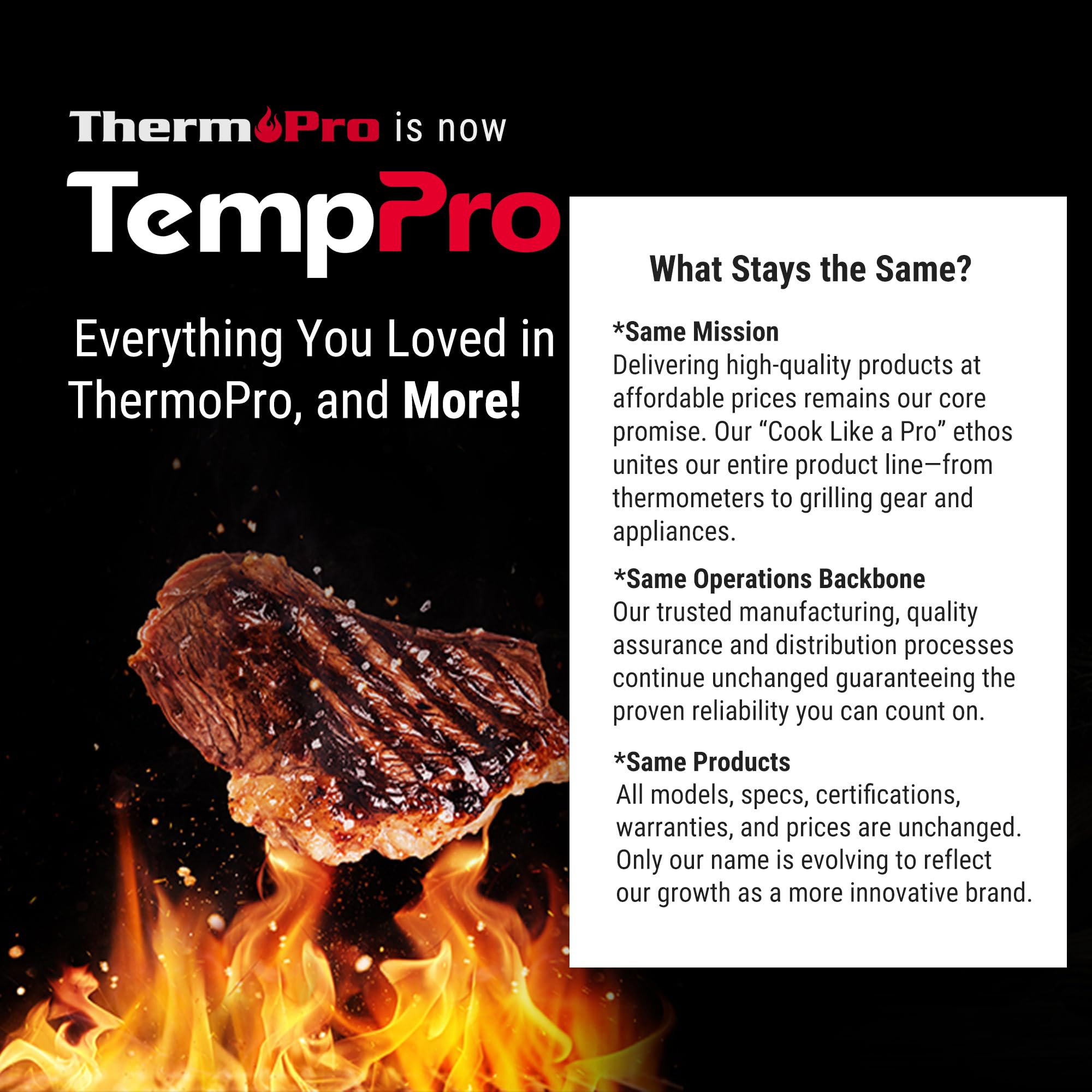 ThermoPro TP17 termometro cucina digitale doppia sonda 2 sonde