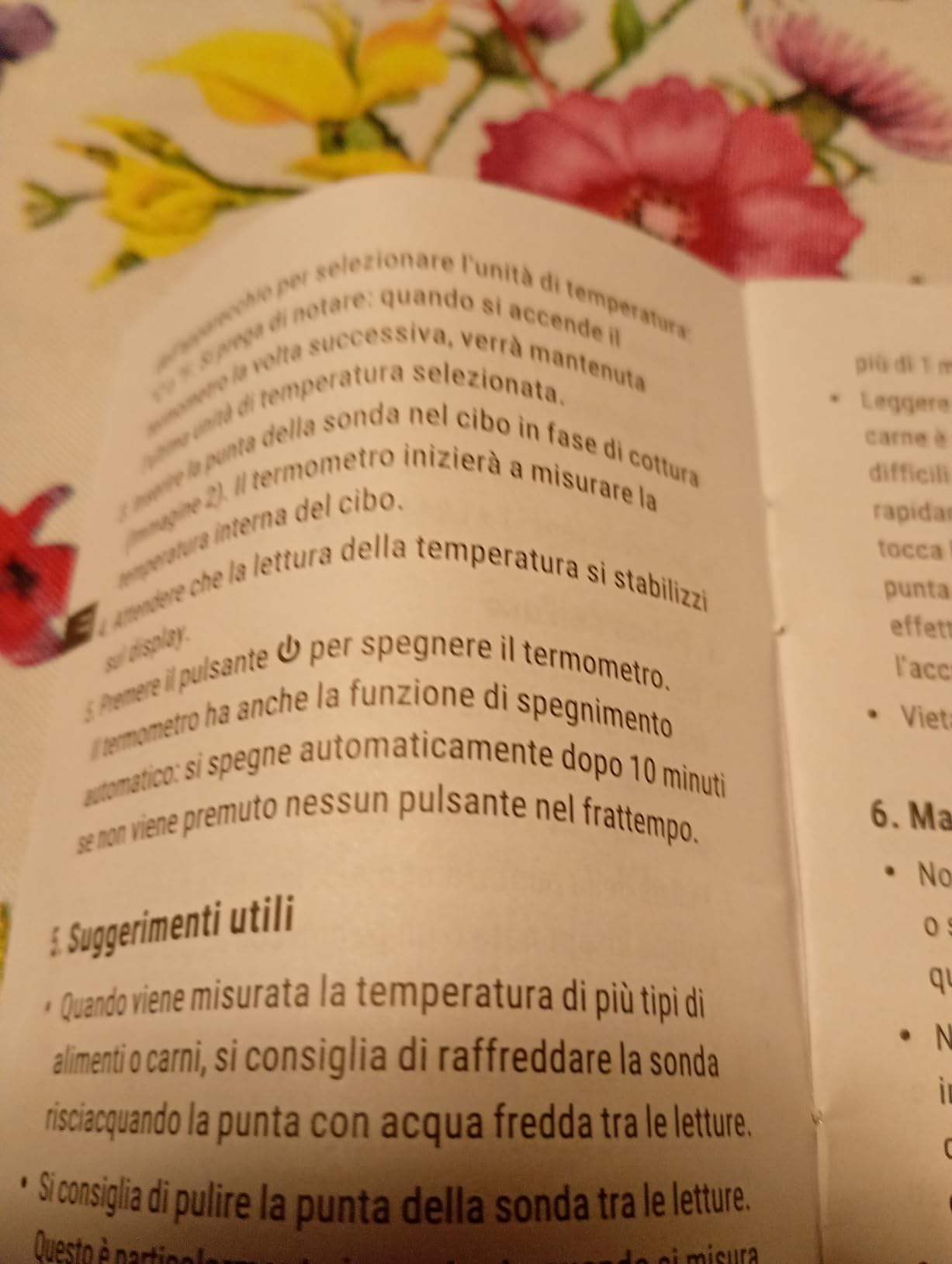 ThermoPro TempPro TP02S Termometro Carne Istantaneo