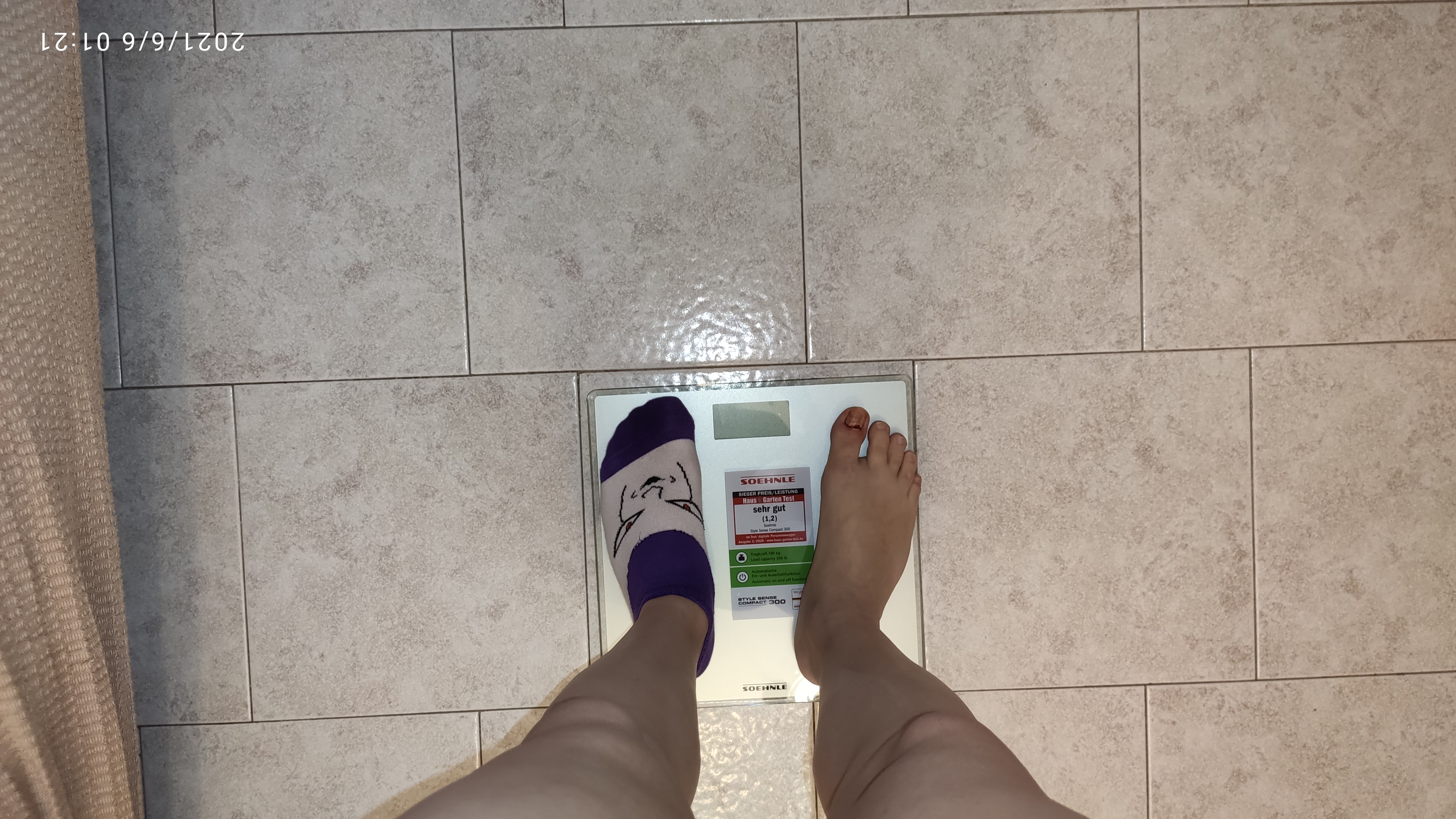 Soehnle Style Sense Compact 300 Bilancia Grigio Cemento