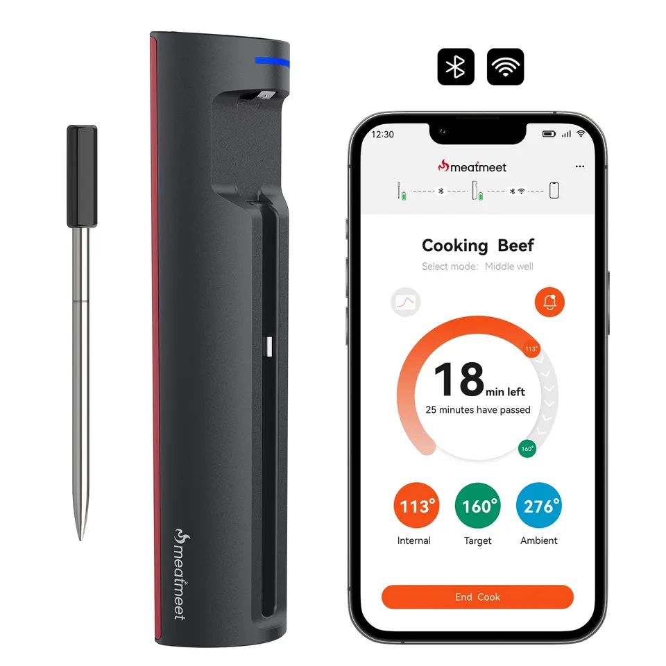 Meatmeet Pro termometro carne WiFi Bluetooth wireless