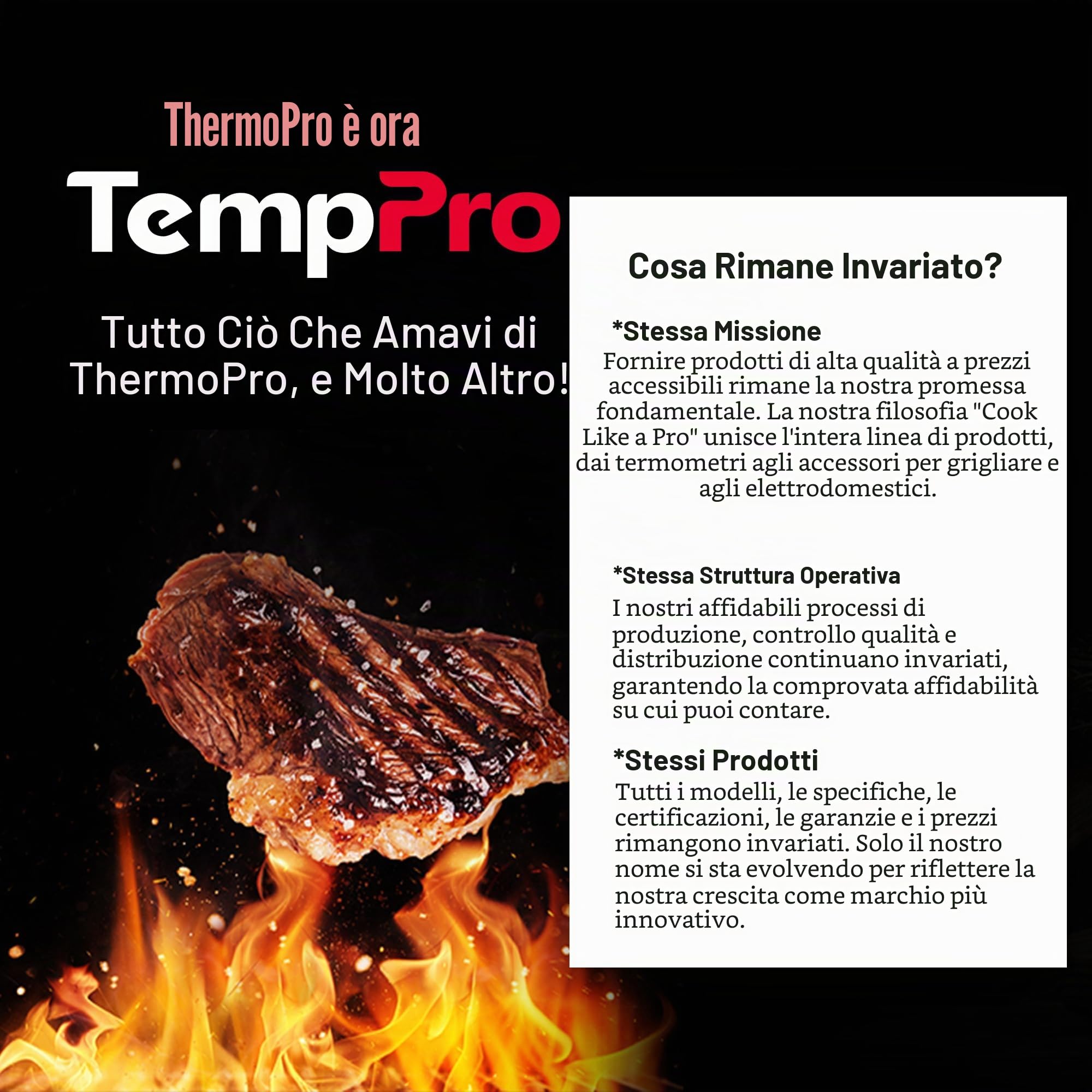 ThermoPro TP19B Termometro Istantaneo Nero Grigio