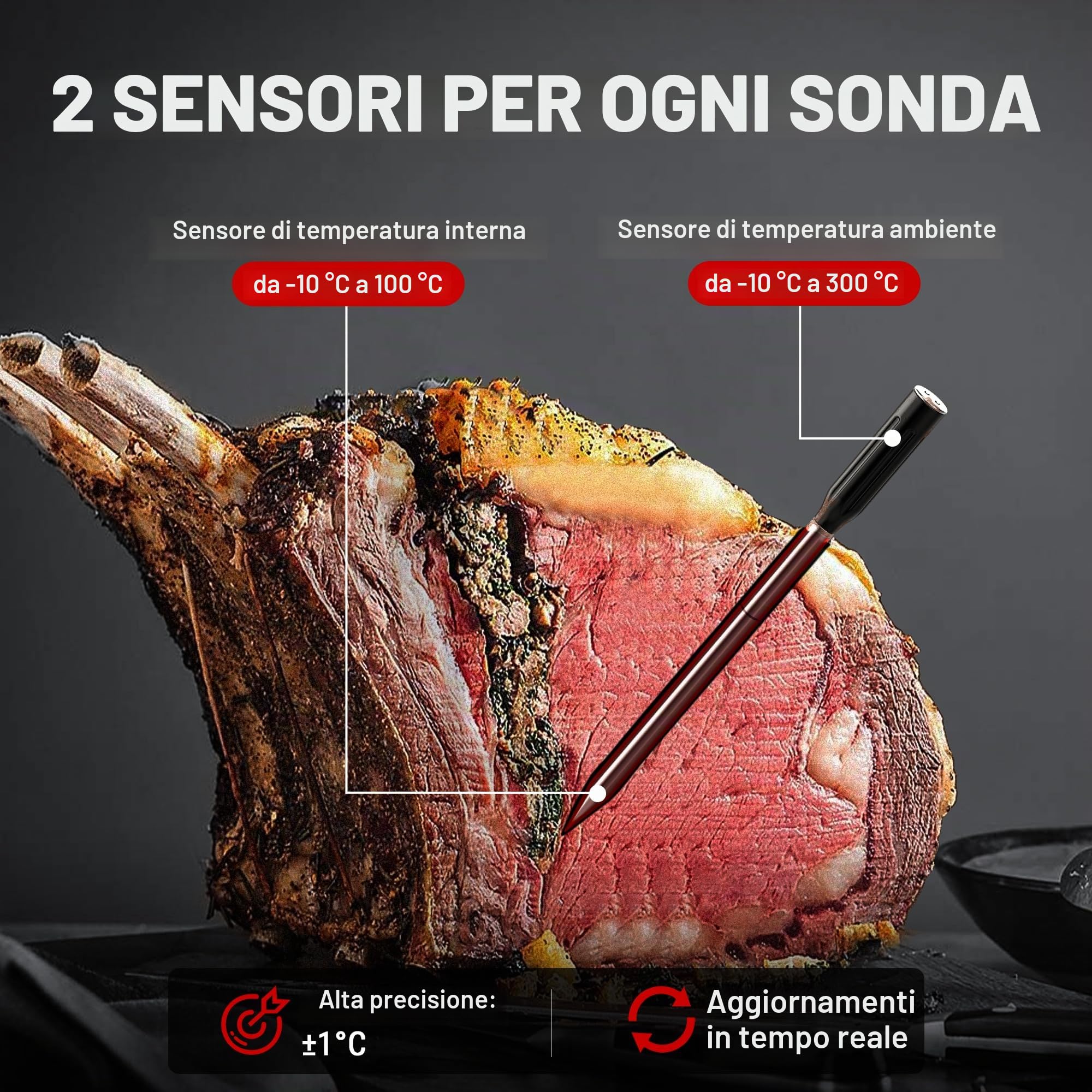 ThermoPro TempSpike TP962W termometro carne wireless 2 sonde