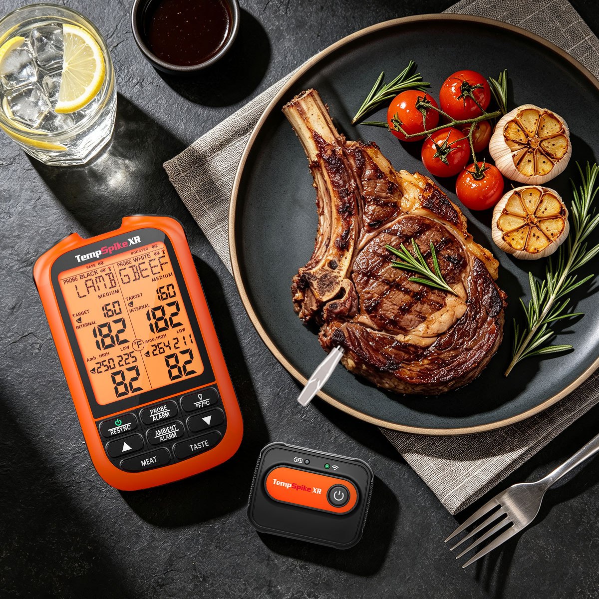 TempPro TempSpike XR TP863B termometro carne 2 sonde 2000 ft