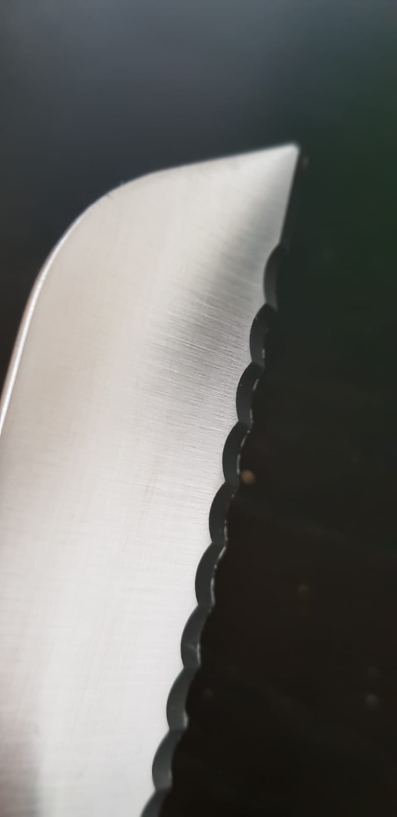 Wusthof Classic coltello pane 23 cm seghettato