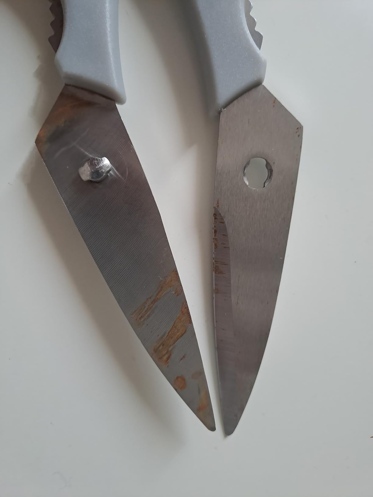 Wusthof Gourmet Forbici Cucina Grigio Acciaio Inox