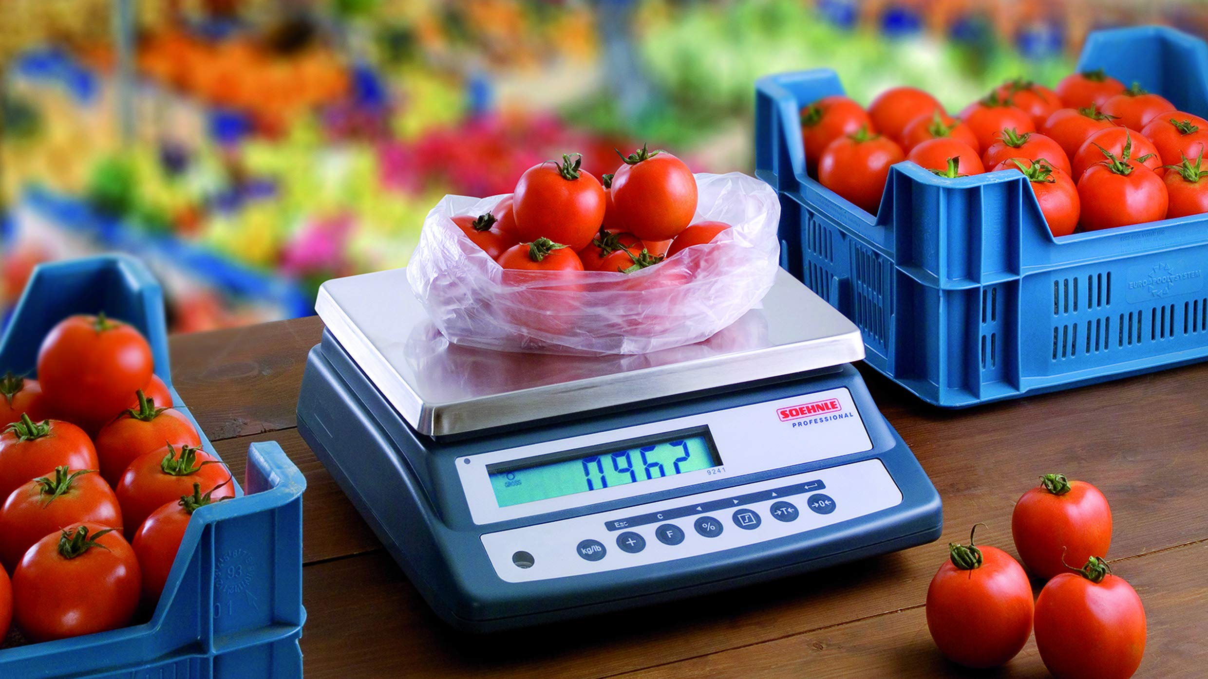 Soehnle Professional 9241 bilancia compatta 30 kg 1 g